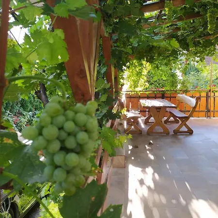 Andras Vendeghaz Tihany