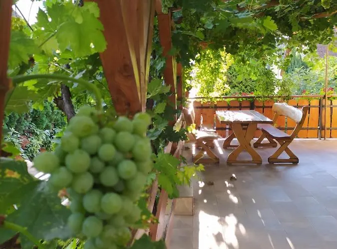 András Nádfedeles Tihany