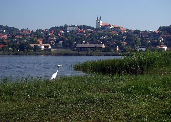 András Nádfedeles 3*